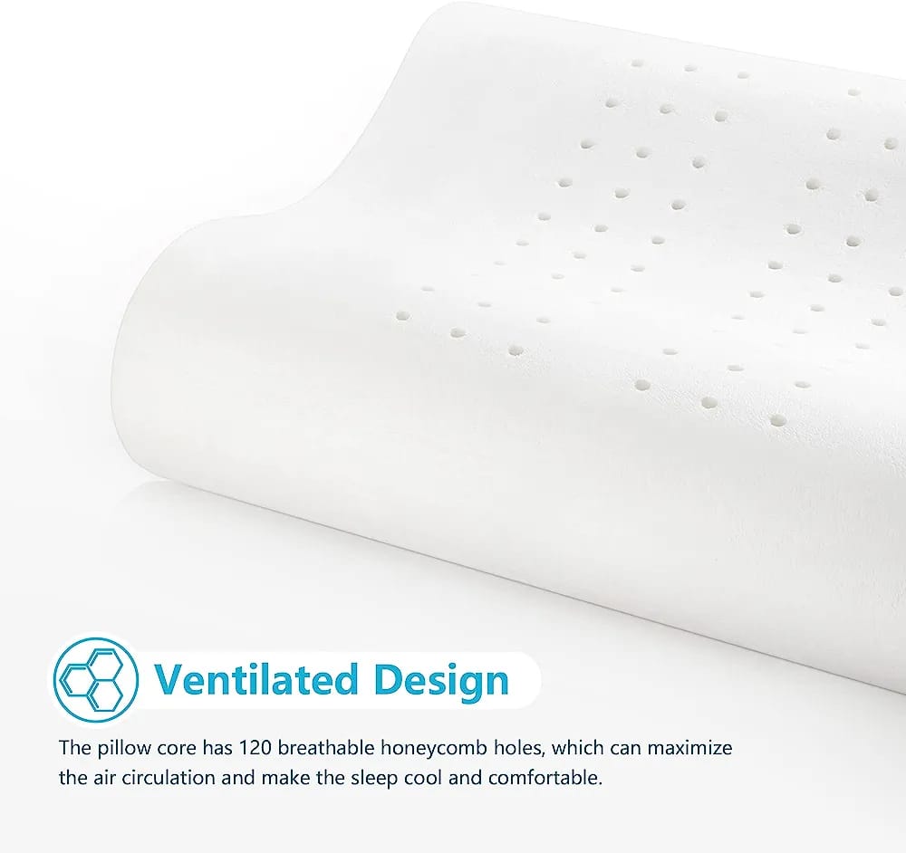 ErgoRest Blissful Sleep Ortho Pillow