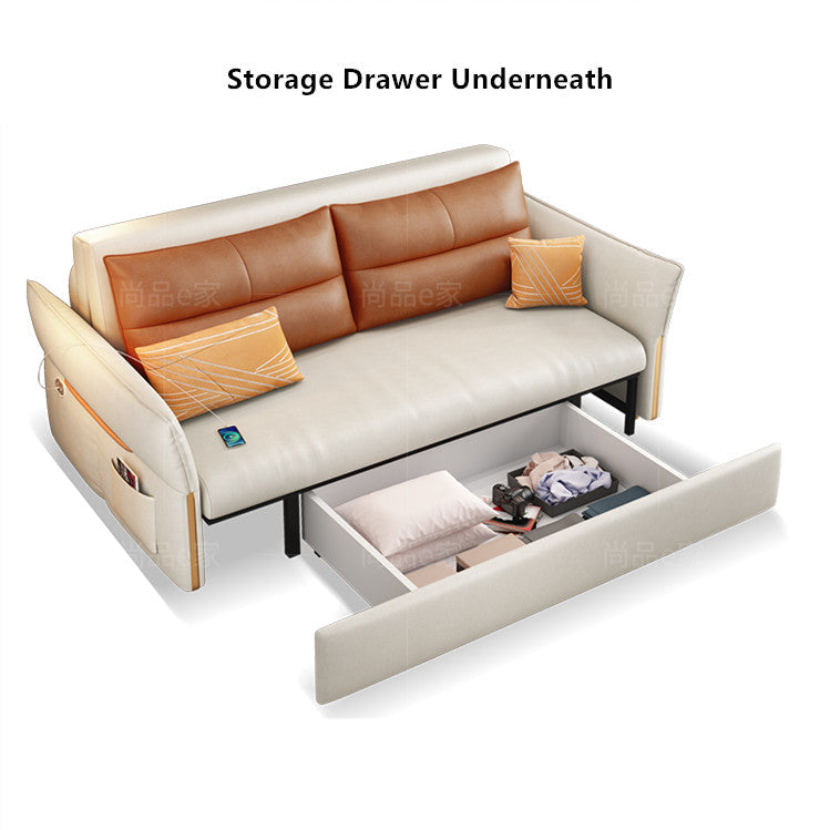 Check sofa cum bed