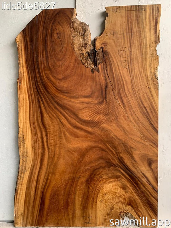 Solid Wood